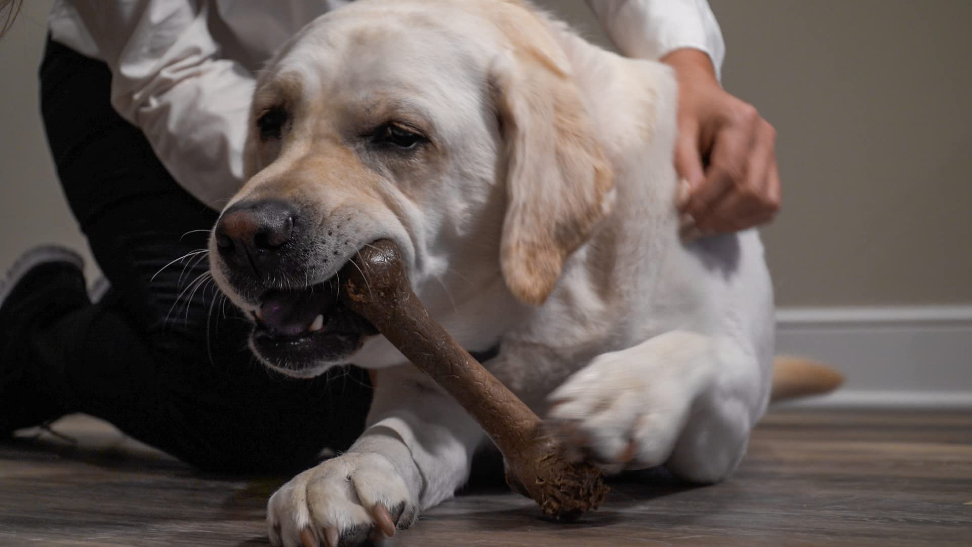 Hero Bonetics hueso para perros grandes, uso diario y diversión segura.
