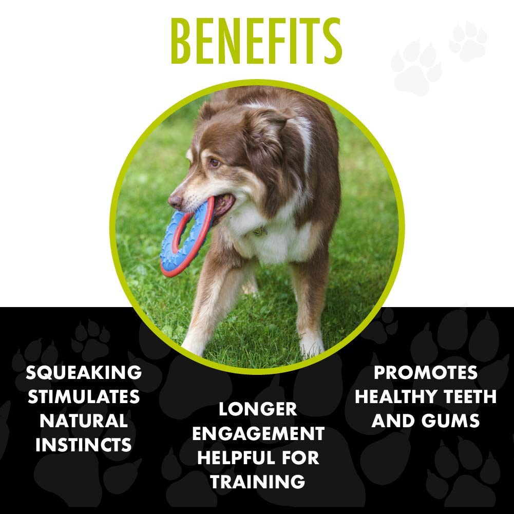 Hero Outer Armor: dimensiones 8 por 8 pulgadas para perros medianos a grandes