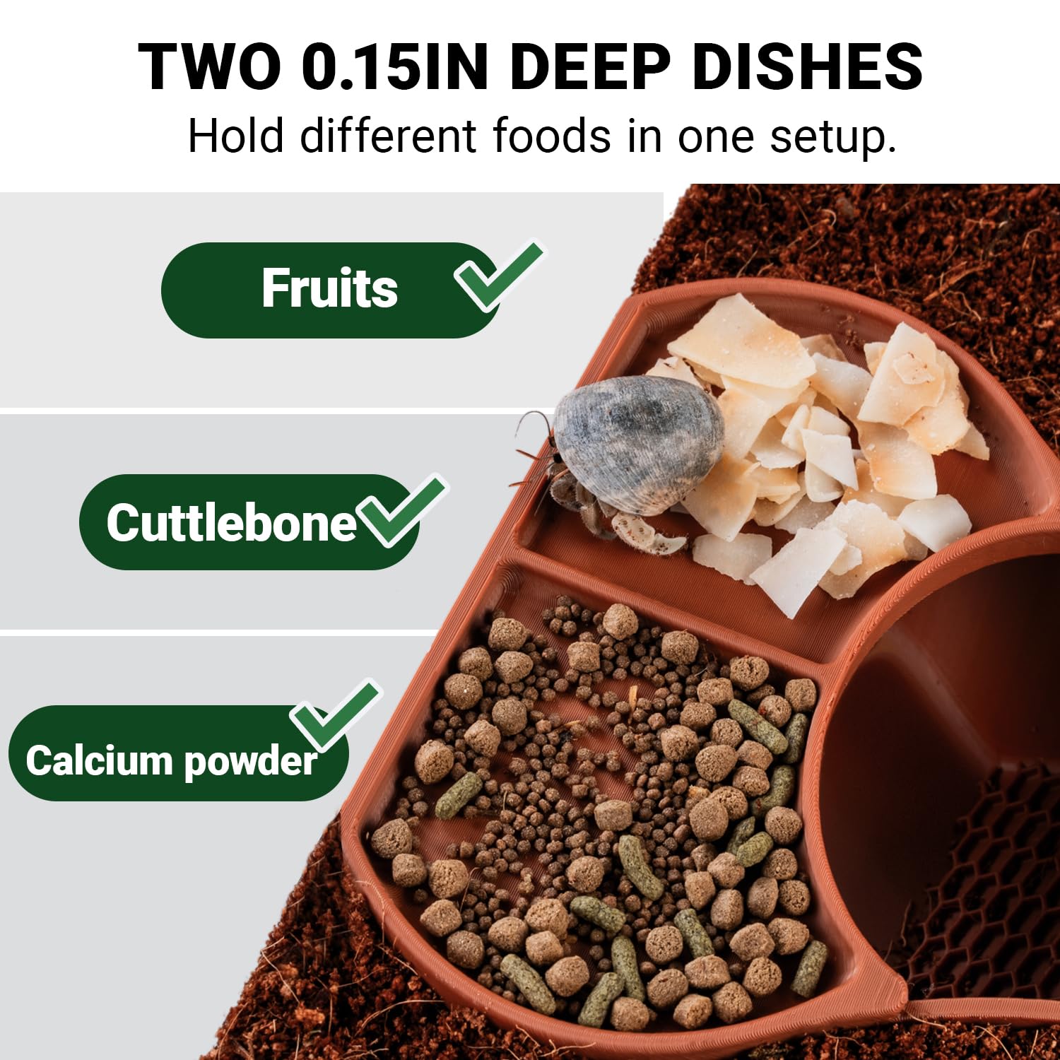 HERPDEN Habitat dos-tazones de alimentación dos en uno para comidas mixtas