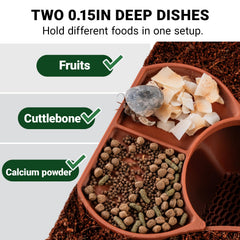 HERPDEN Habitat dos-tazones de alimentación dos en uno para comidas mixtas