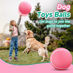 HETOO balon tenis para perros rosa, perfecto para sesiones de entrenamiento al exterior
