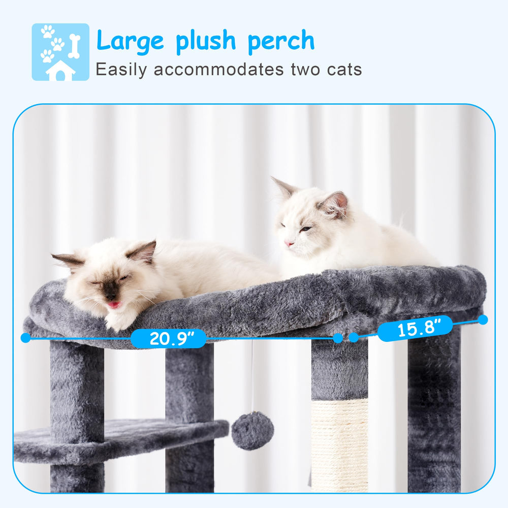 Hey-brother arbol-gato: rampa práctica para acceso fácil entre niveles.