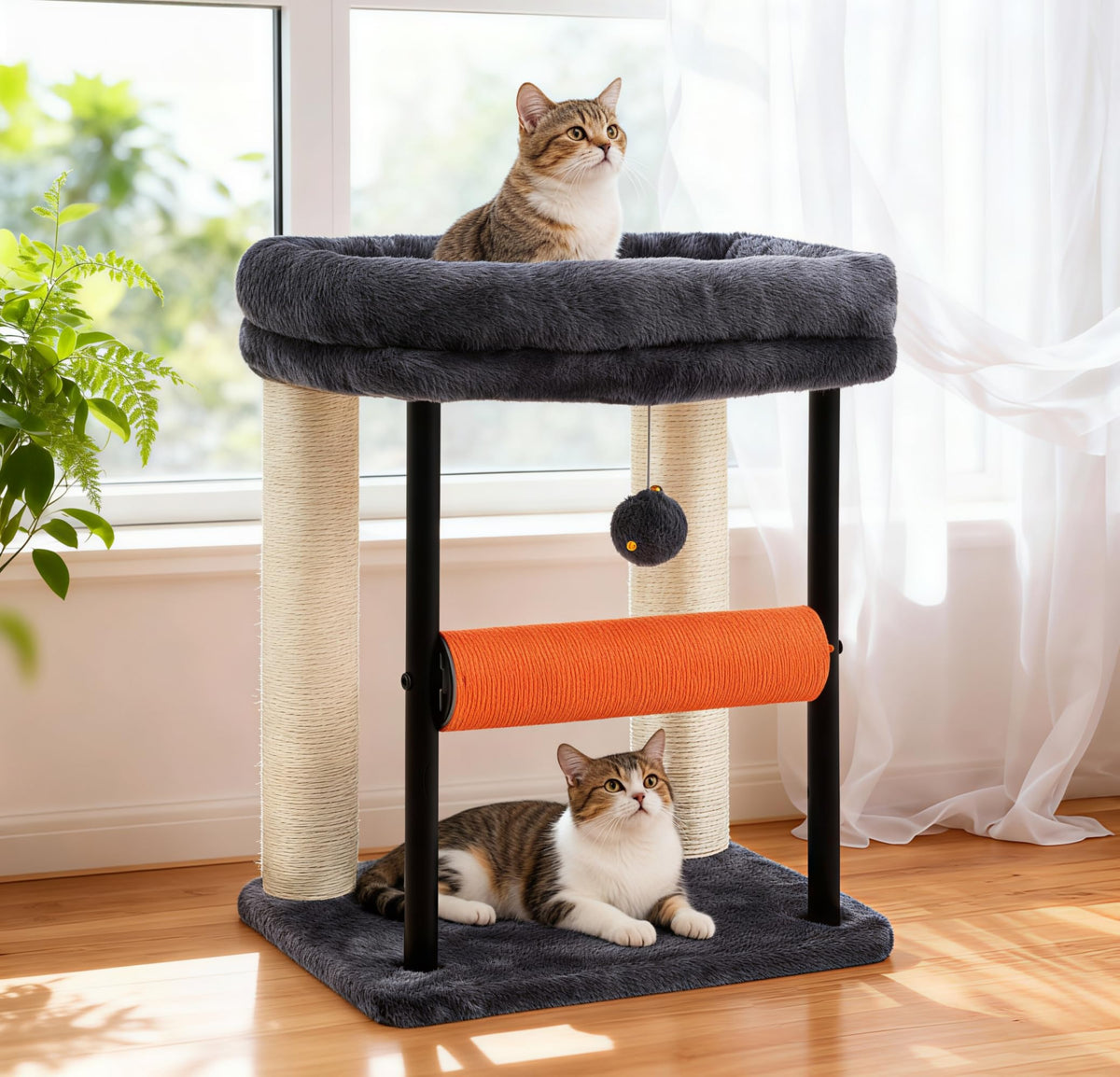 Hey-brother arbol gatos: base redondeada para descanso cómodo y seguro.