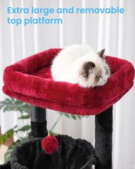 Hey-brother arbol-gatos gotico: hamaca doble para dormir abrazado como en nube.