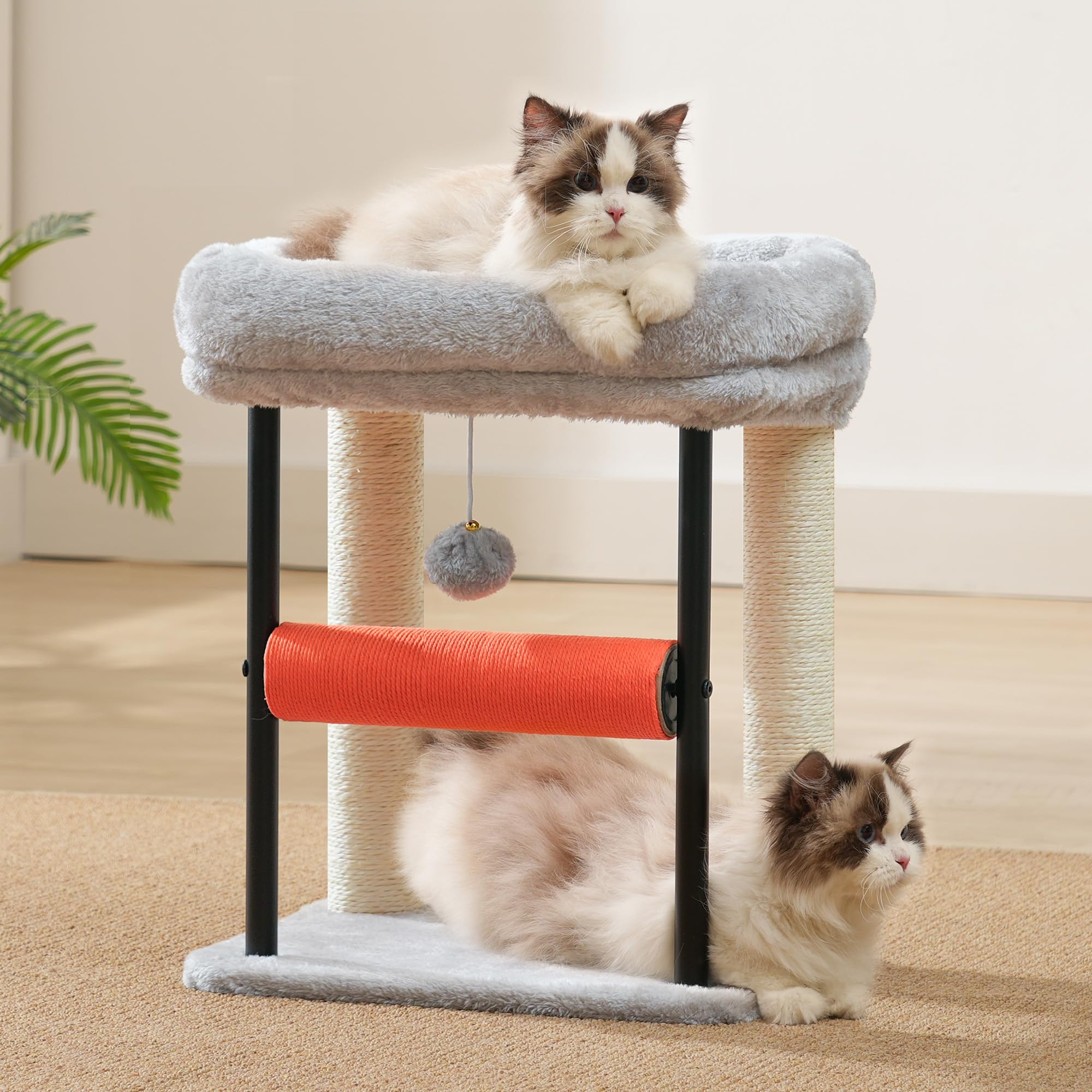 Hey-brother postes sisal completos, fortalecen el arañado natural de tu gato