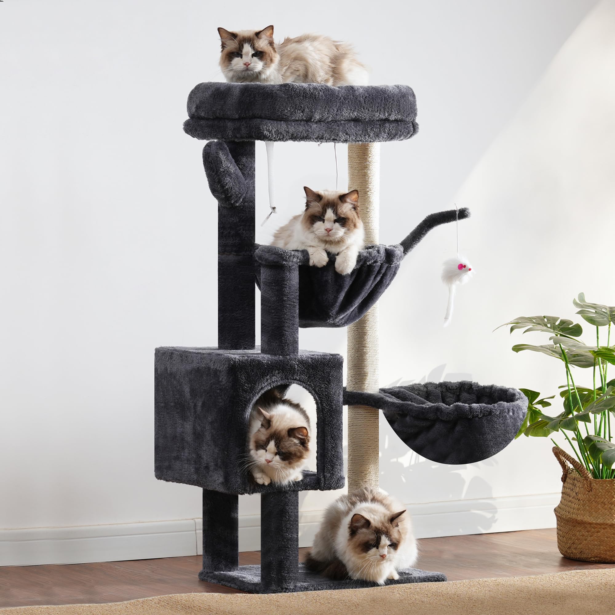 Heybly Arbol Gato Diseño Cactus Verde: estilo único para la sala.