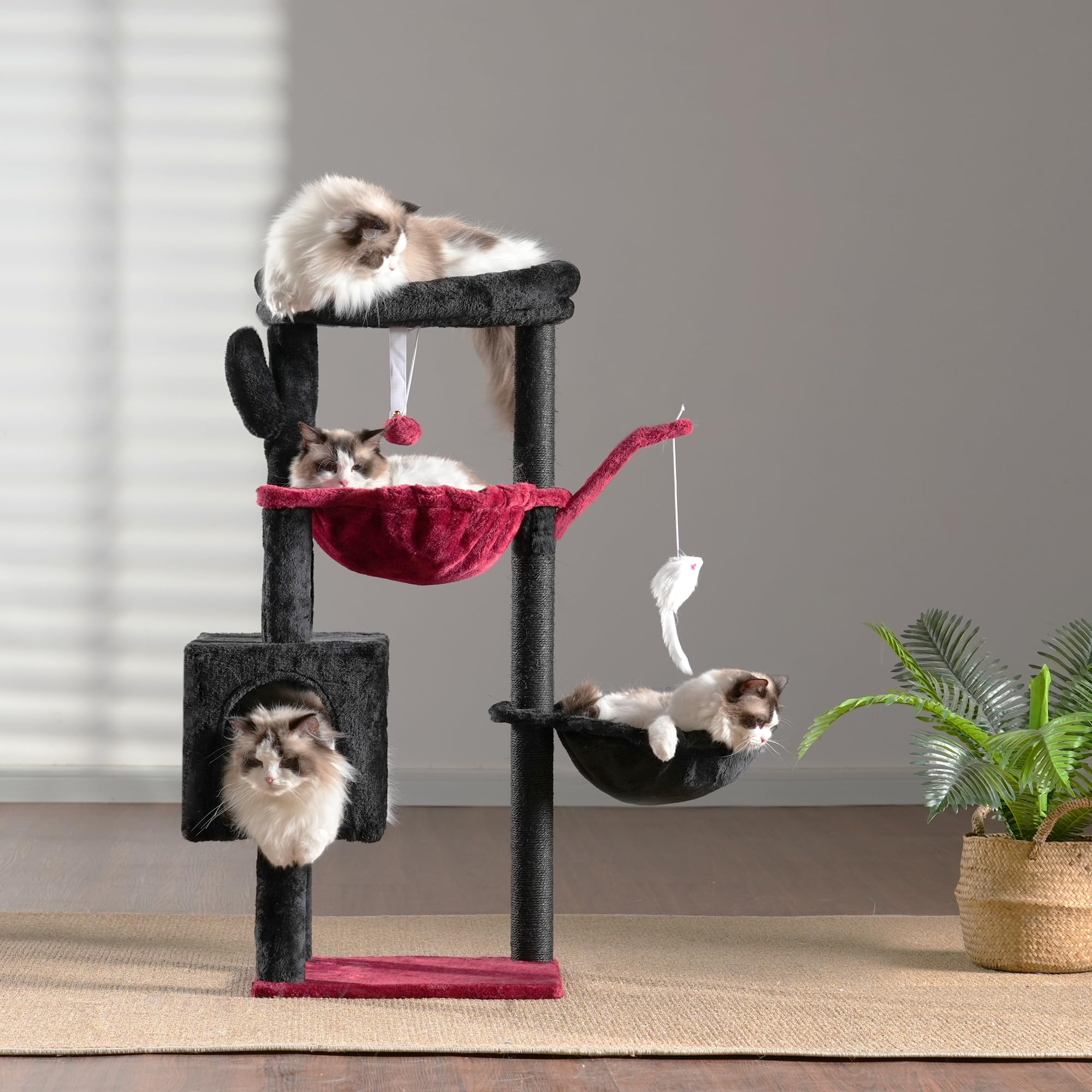 Heybly ideal para gatos de interior con múltiples zonas de juego