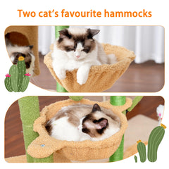 Heybly Arbol Gatos Cactus Condo Privacidad: refugio privado para dormir y observar.