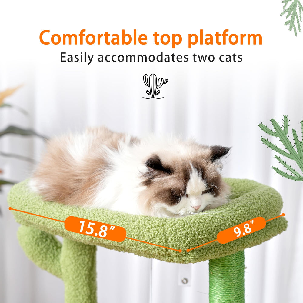 Heybly Arbol Gatos Cactus Plataforma Suave: zona de descanso agradable para siestas.