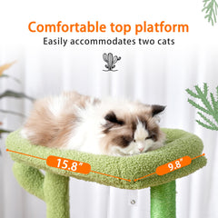 Heybly Arbol Gatos Cactus Plataforma Suave: zona de descanso agradable para siestas.