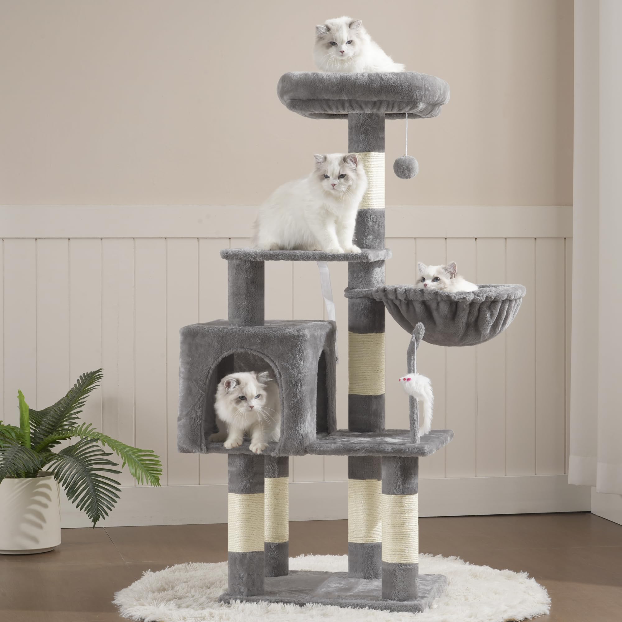 Heybly arbol para gatos: dimensiones aptas para espacio interior y juego activo