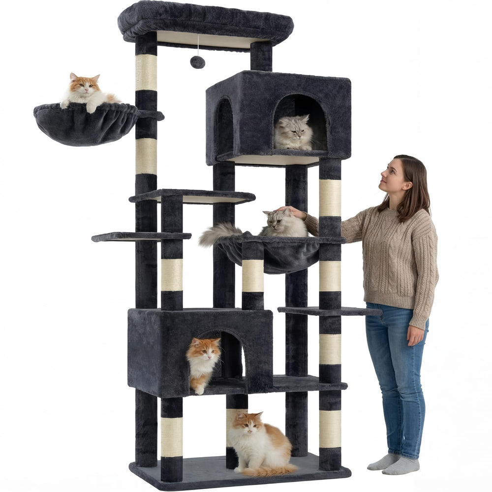 Heybly arbol para gatos: pompones para estimulación y juego.