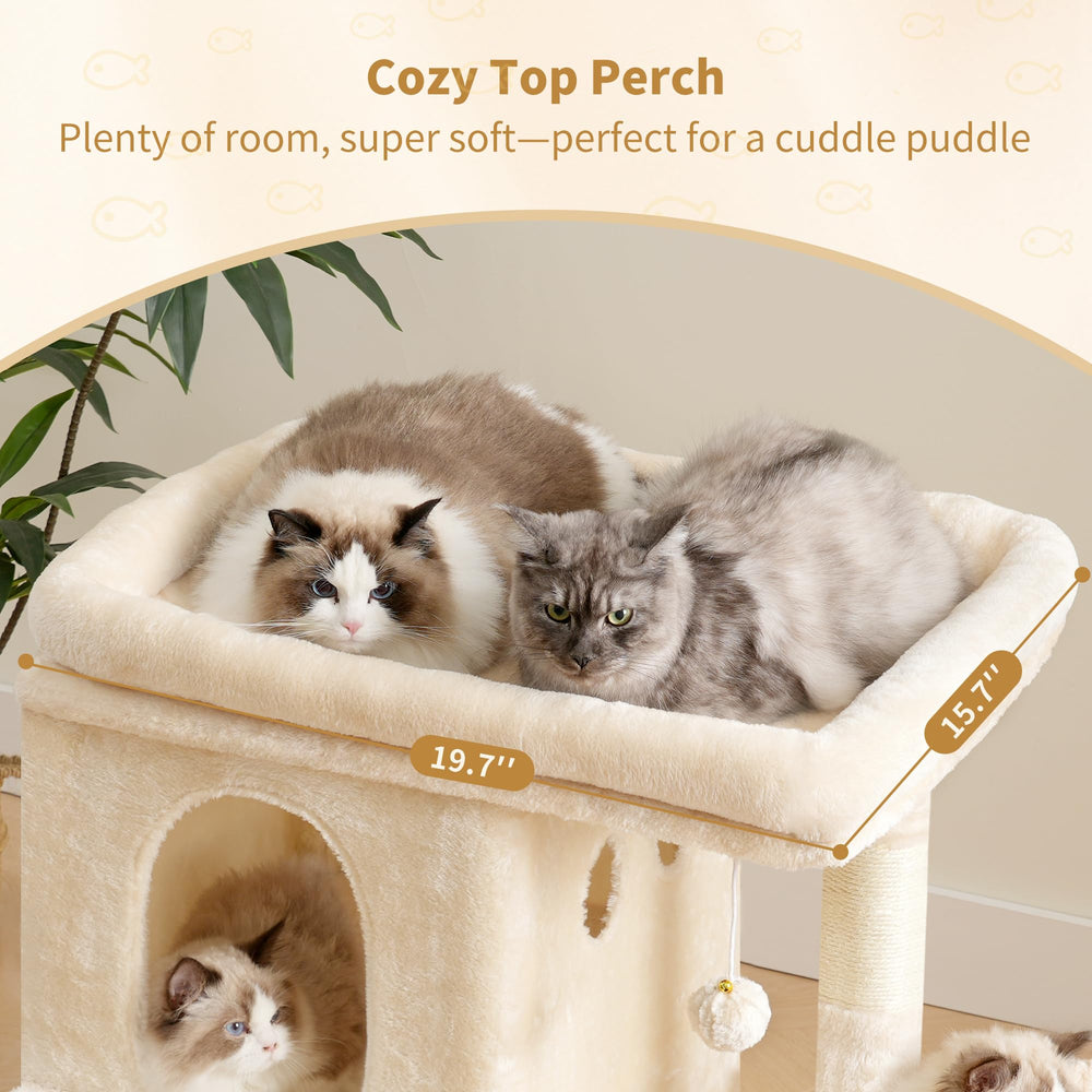 Heybly uso multi-gatos, ideal para hogares con varias mascotas.