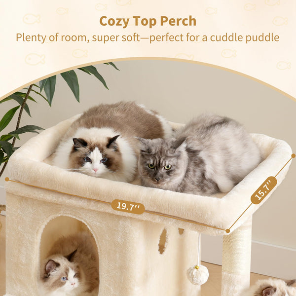Heybly uso multi-gatos, ideal para hogares con varias mascotas.