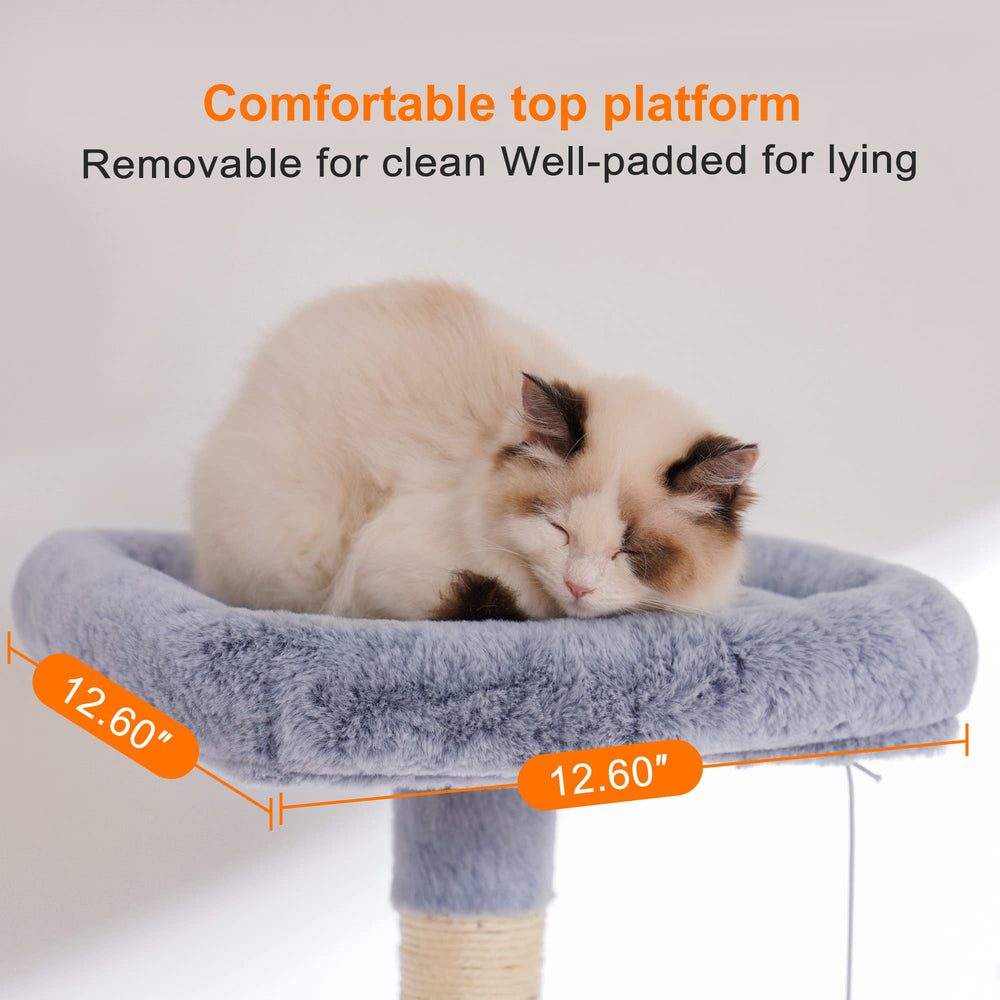 Heybly detalles de diseño ergonómico para gatos curiosos y activos.