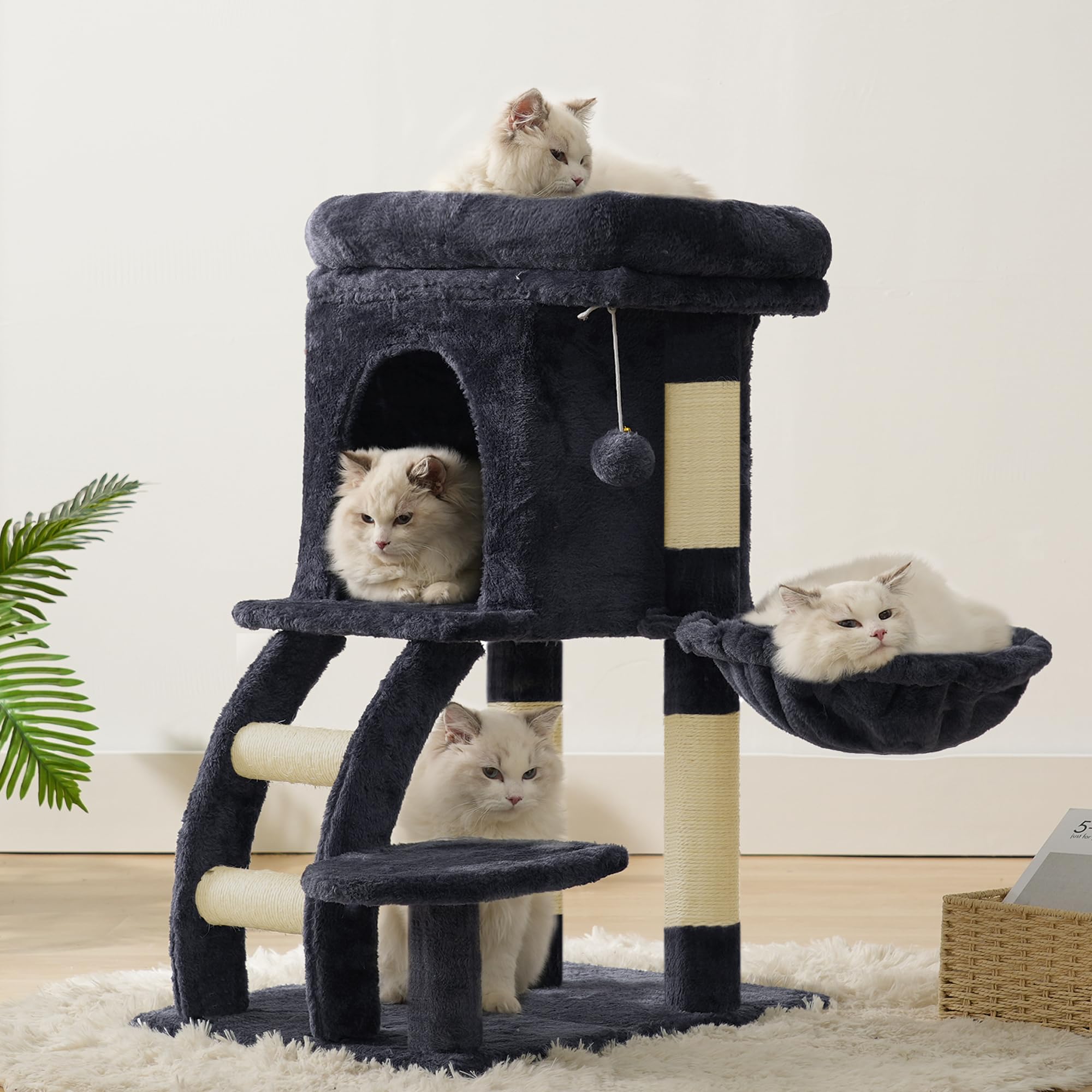 Heybly torre-gato centro-actividad para gato interior