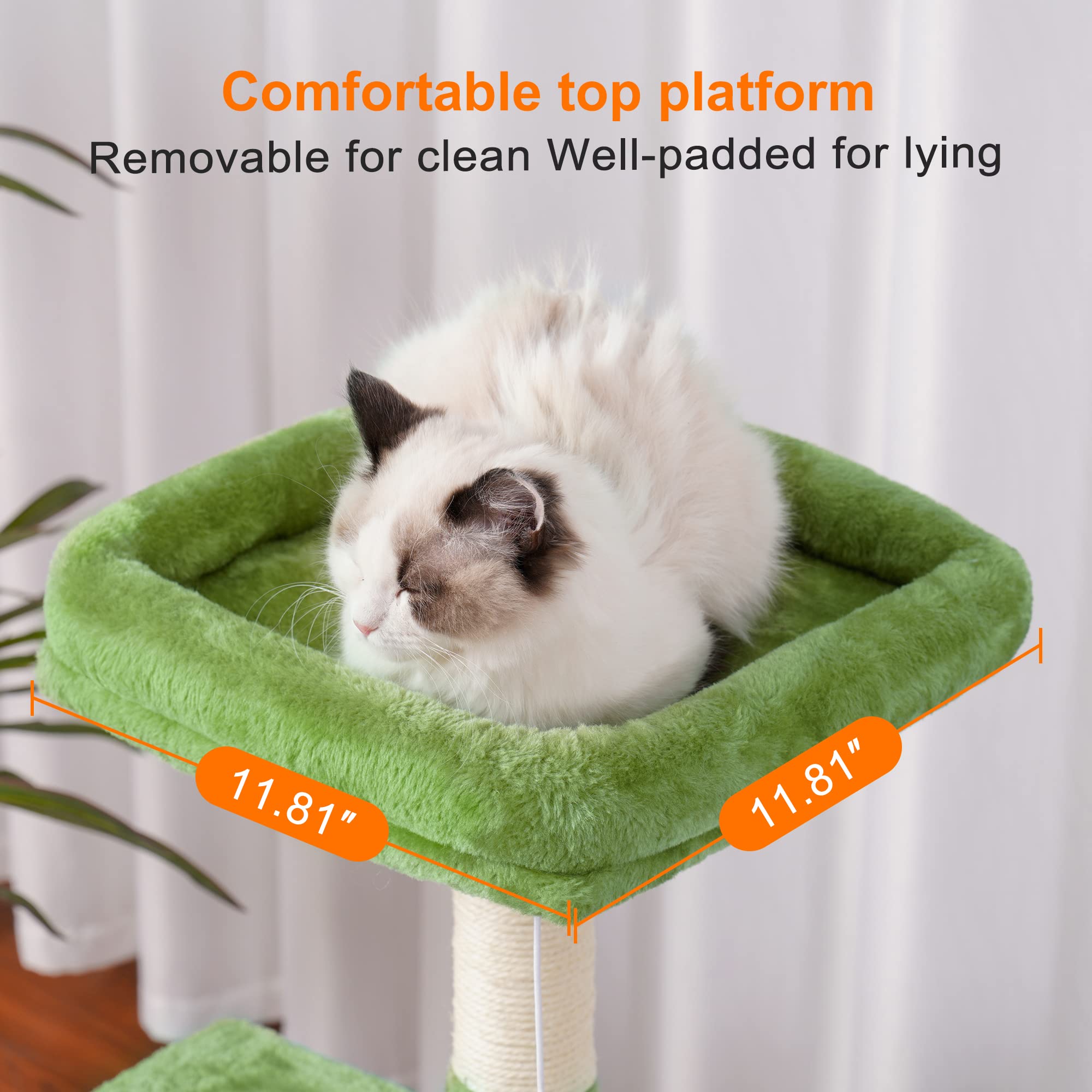 Heybly uso diario en casa gato: ideal para interior que busca altura.