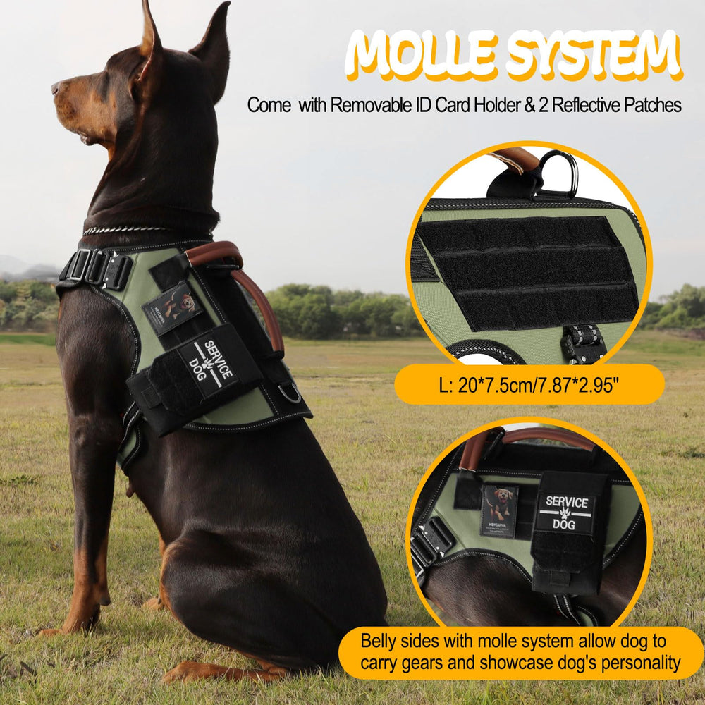 Soporte AirTag HEYCAHVA para localización durante entrenamientos y paseos.
