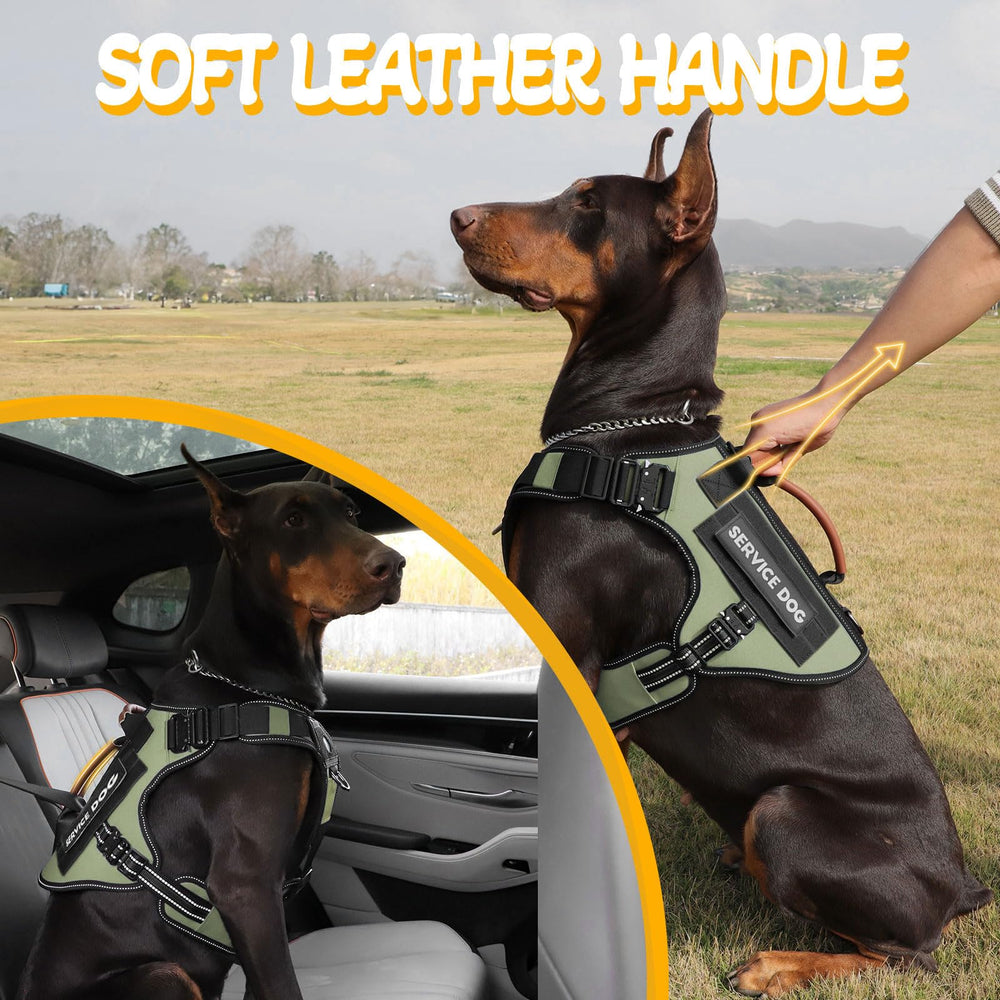 Asa de cuero HEYCAHVA para control suave durante caminatas y entrenamientos.