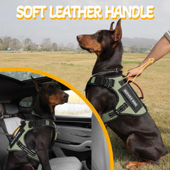 Asa de cuero HEYCAHVA para control suave durante caminatas y entrenamientos.