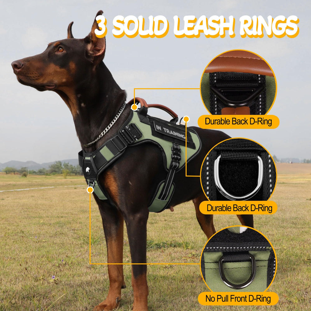 Heycahva arnés de servicio para perros, detalle MOLLE y parches para personalización.