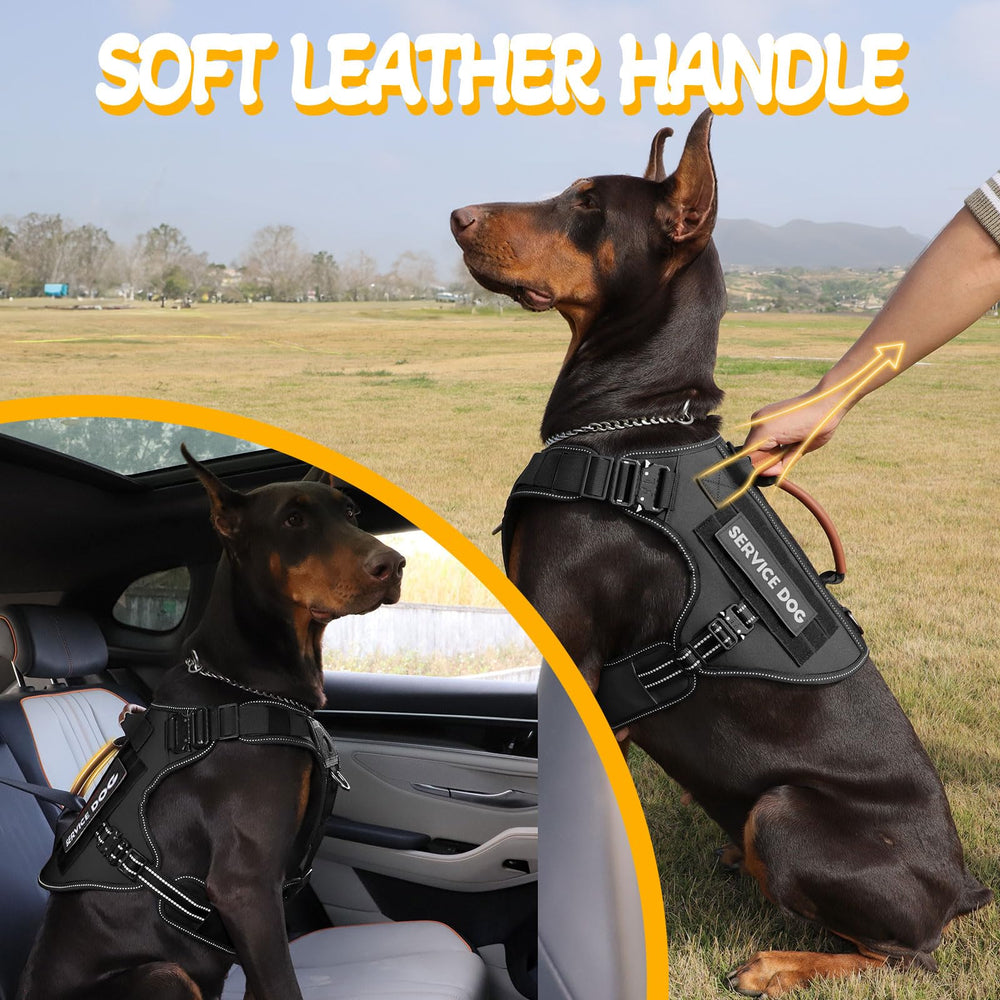 HEYCAHVA sistema MOLLE para accesorios en arnés canino