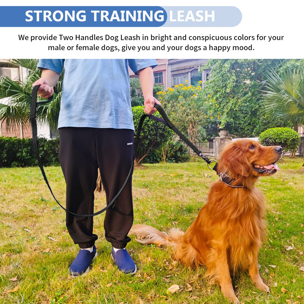 Heydoggy correa para entrenamiento y paseos