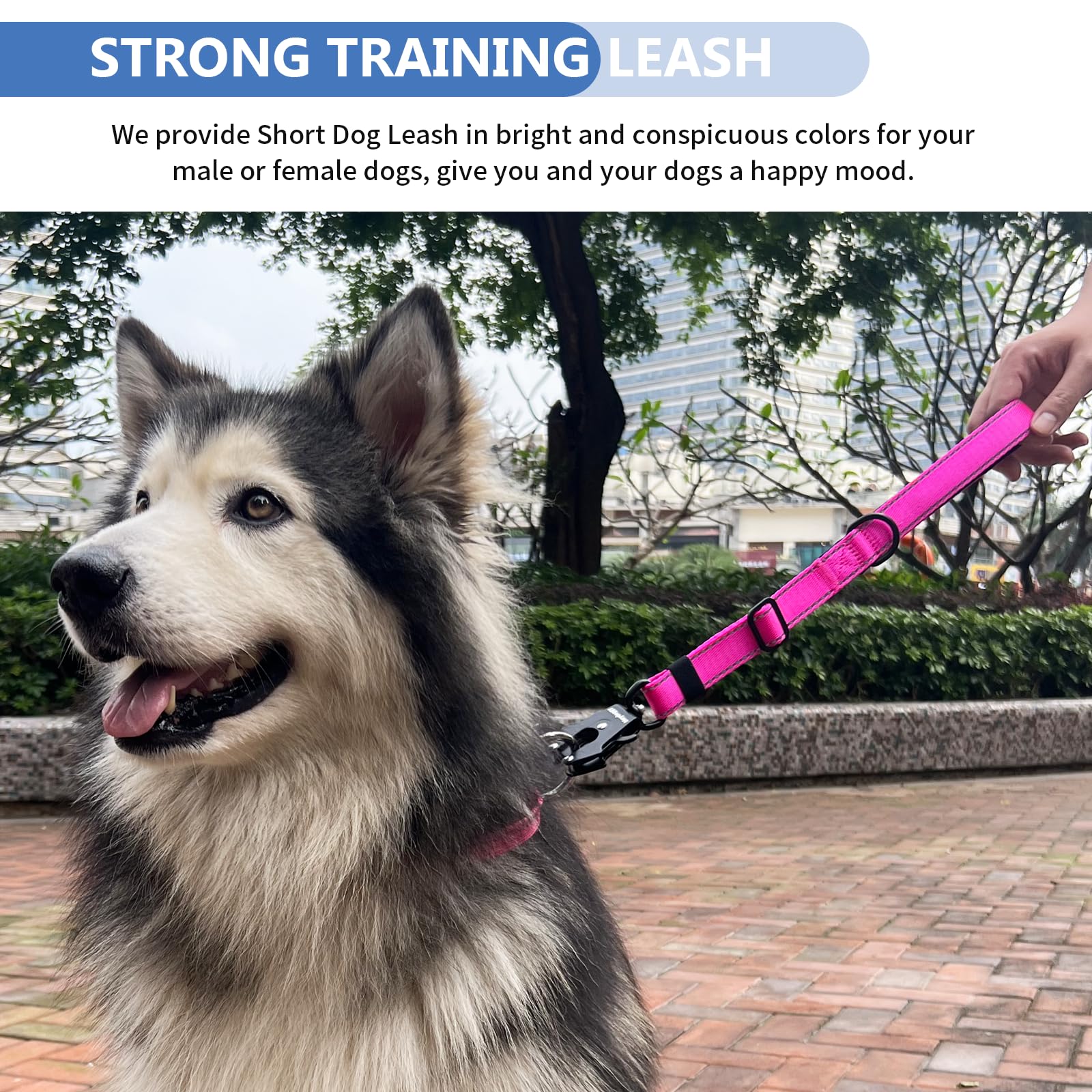 Heydoggy correa perro aro D facilita accesorios de entrenamiento y bolsa de basura.