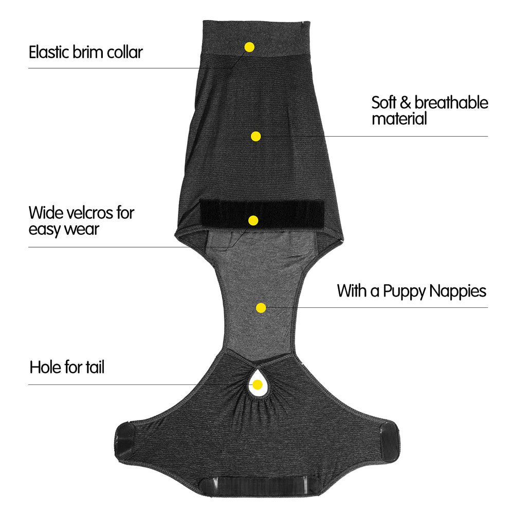 HEYWEAN diaper reutilizable, seguro para perros activos durante el día.