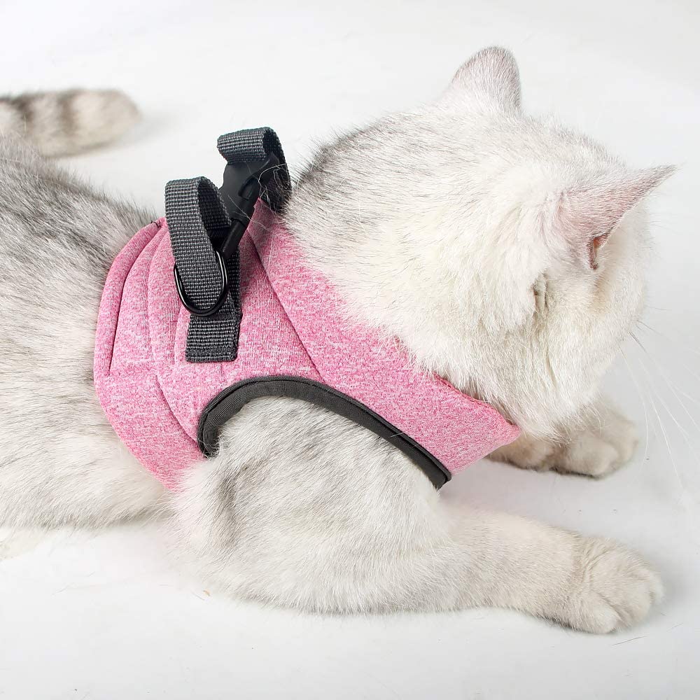 HEYWEAN material de secado rápido, mantiene al gato cómodo tras la lluvia.