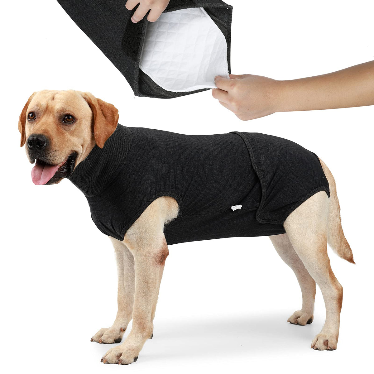 Pañales HEYWEAN para perro con bolsillo en la panza, fijación estable.