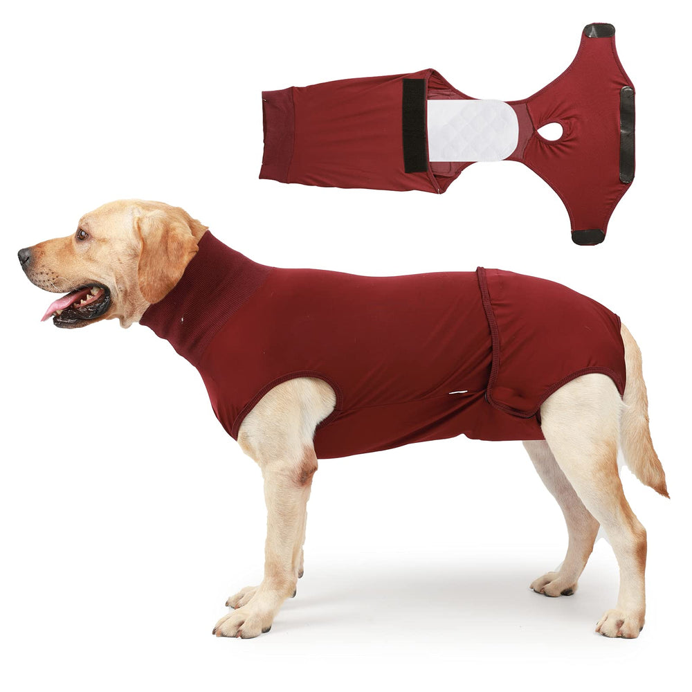 HEYWEAN pañales para perro de cuerpo completo, diseño cómodo para uso diario