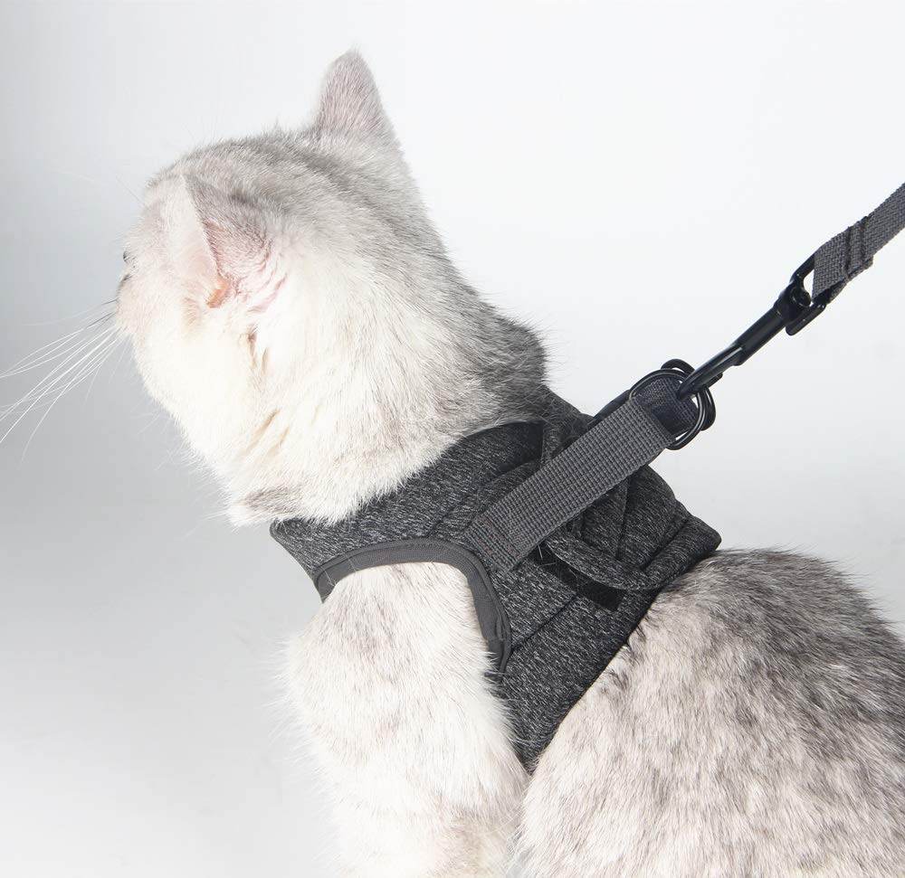 HEYWEAN tallas gato con guía de peso para un ajuste perfecto.