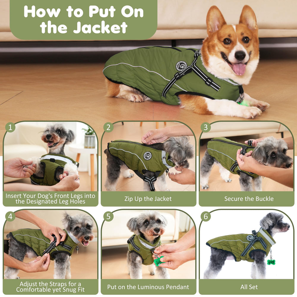 HezzLuv diseño de tallas ajustables para perros de diferentes tamaños.