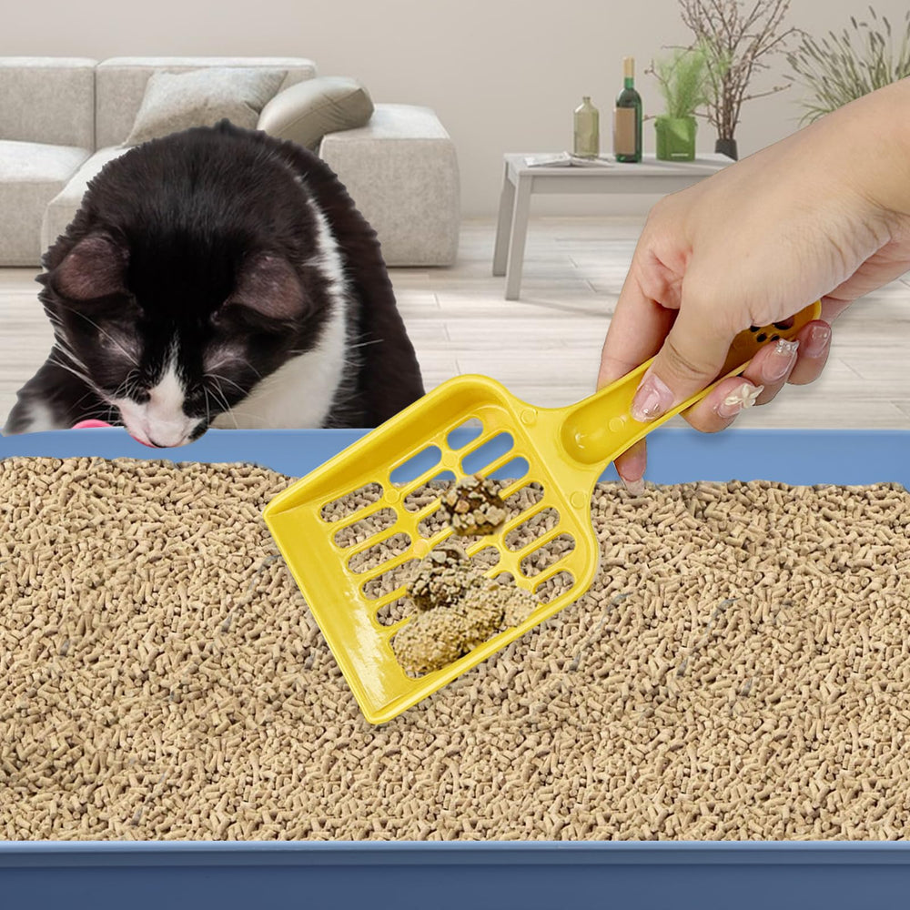 HFYZZ bandeja para gatos mediana, violeta, ideal para entrenamiento de gatitos.