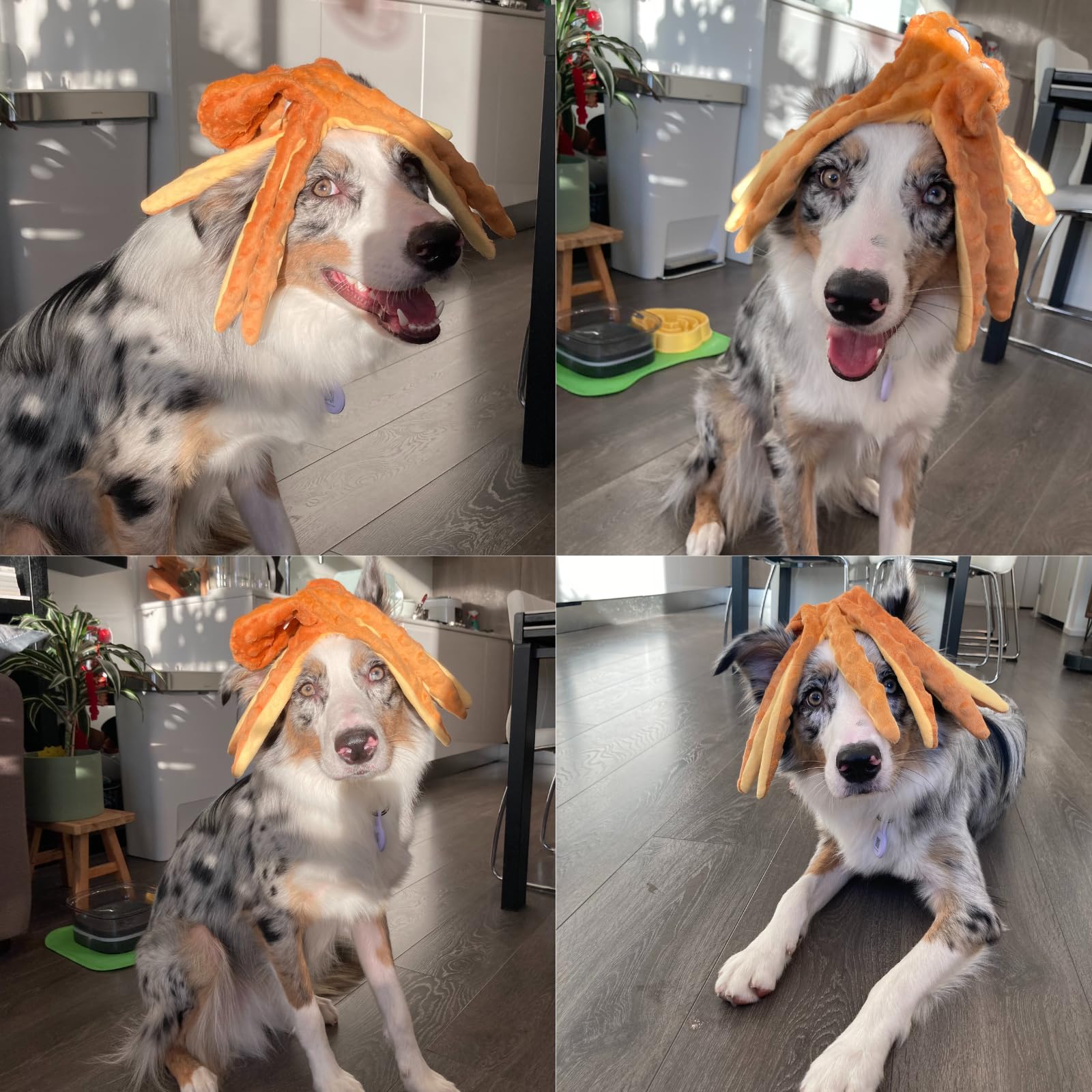 Paquete de dos pulpos HGB, regalo perfecto para perros activos.