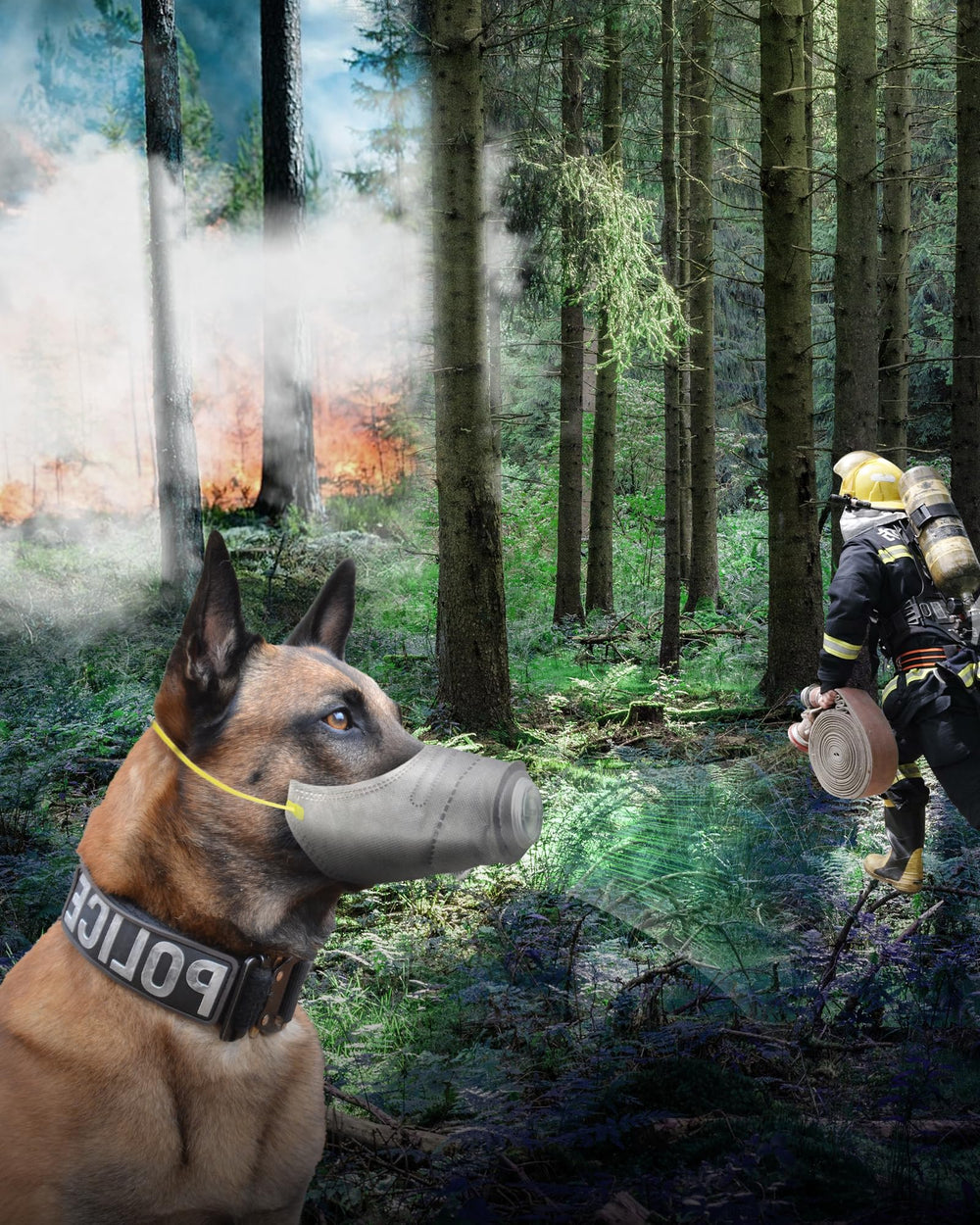 HHGFCLTRS Correas ajustables para un ajuste cómodo en cualquier perro