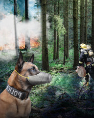 HHGFCLTRS Correas ajustables para un ajuste cómodo en cualquier perro