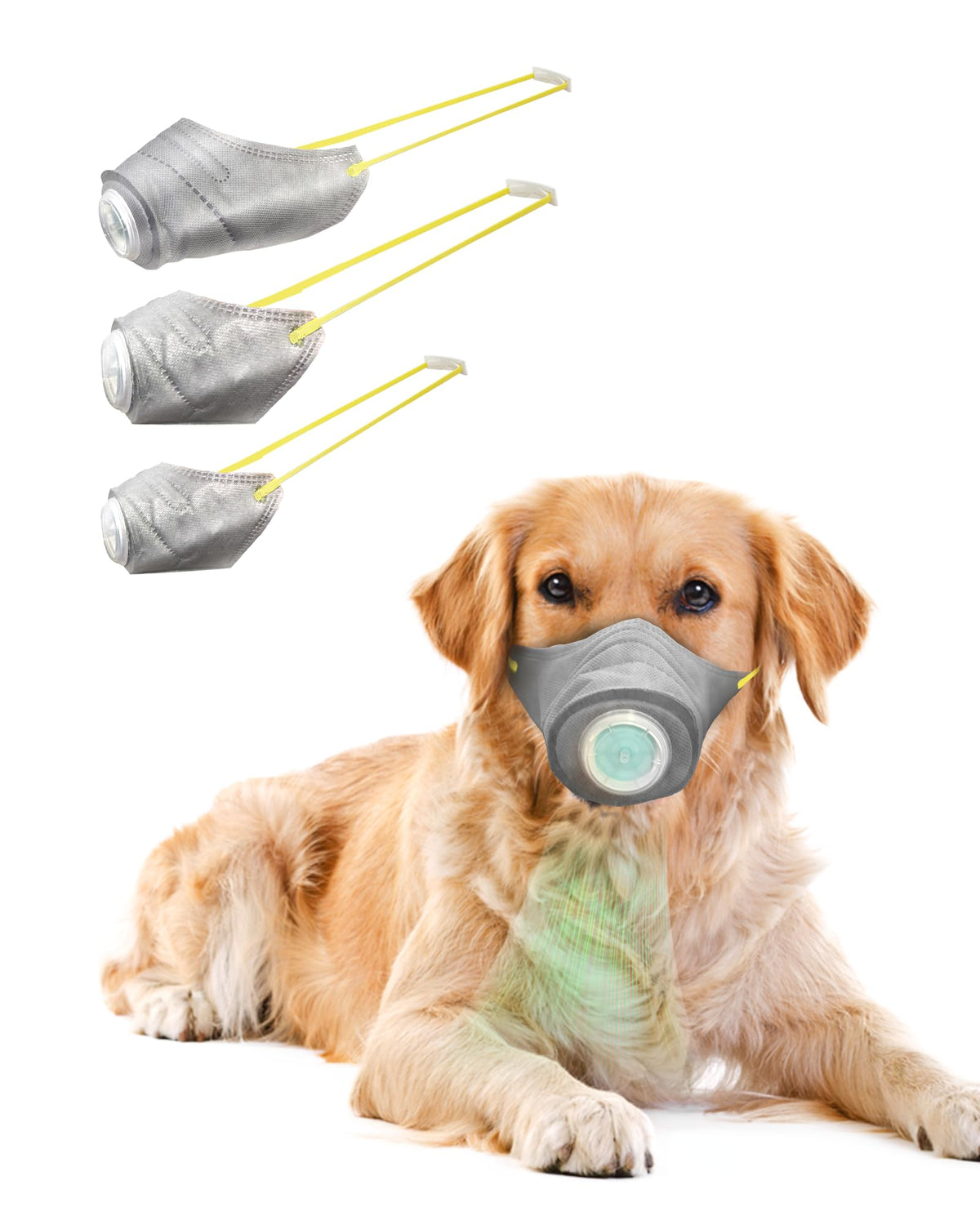 HHGFCLTRS Mufla para perros protege contra polvo durante paseos al exterior