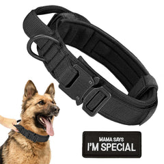 HhiMyOct collar táctico con asa para control cercano en espacios concurridos.