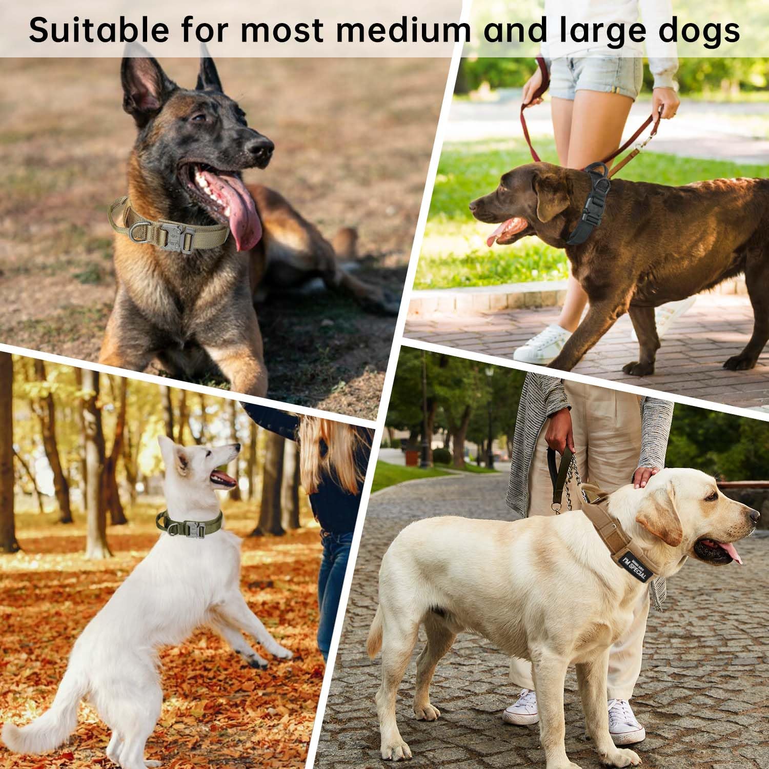 HhiMyOct collar táctico para entrenamiento en perros medianos y grandes.