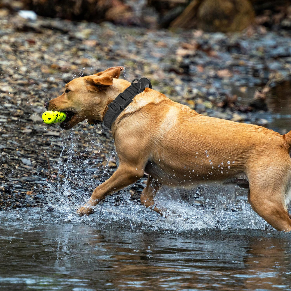 HhiMyOct collar táctico multiuso para paseos, entrenamiento y patrulla.