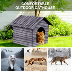 Interior de la casa hhongri-sheng, espacio cálido para gatos o perros pequeños.