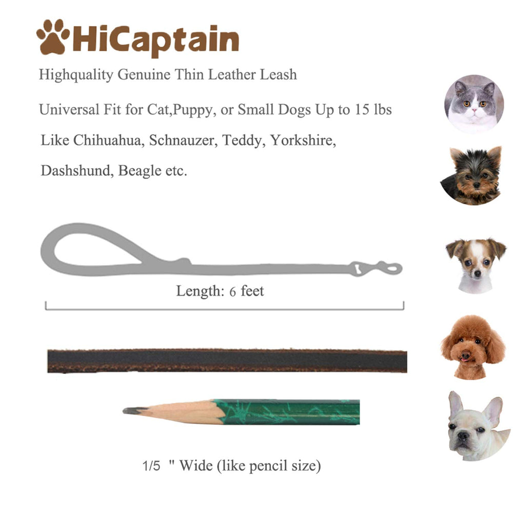 HiCaptain correa para perros pequeños en marrón, uso diario recomendado.