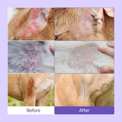 HICC PET alivio de picor para perros y gatos