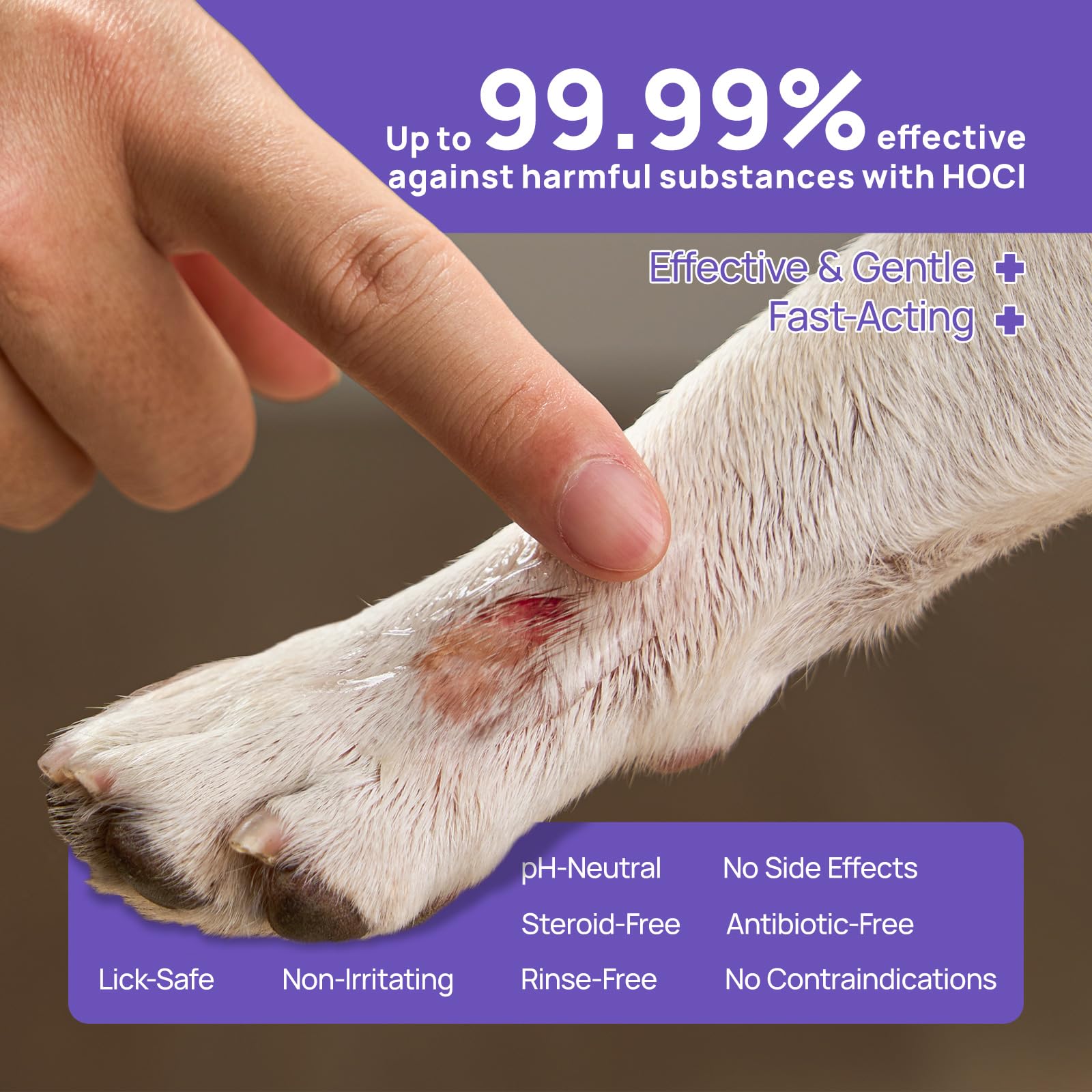 HICC PET aplicación segura para heridas alrededor de ojos y nariz de perro.