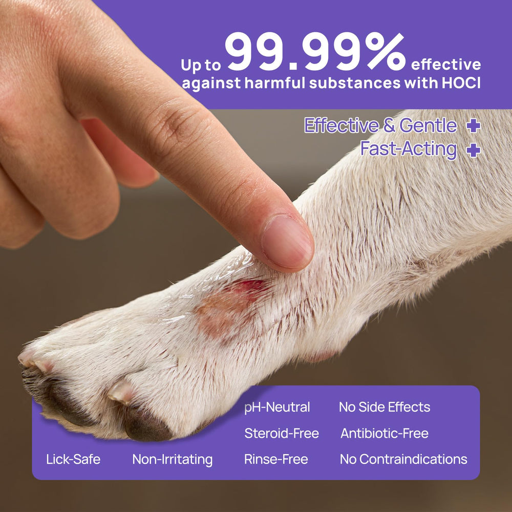 HICC PET aplicación segura para heridas alrededor de ojos y nariz de perro.