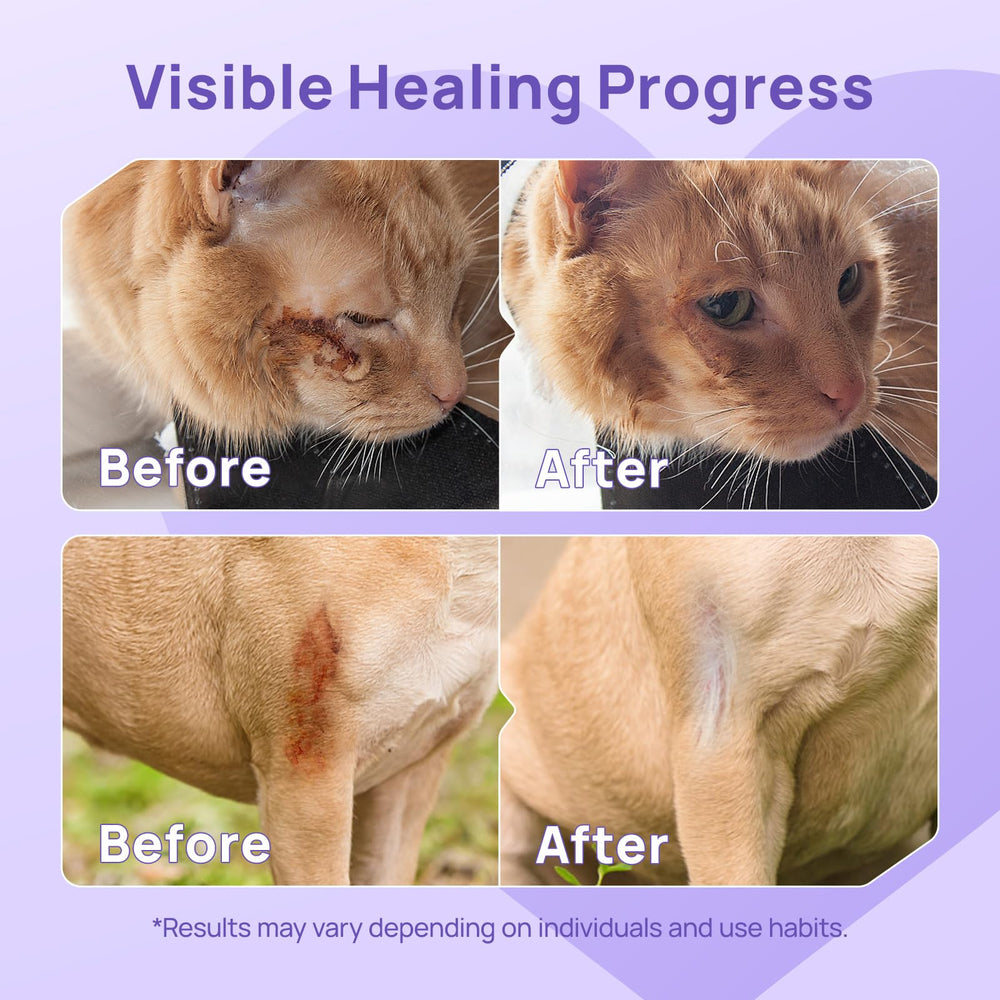 HICC PET HOCl suave para limpieza de heridas sin irritar.