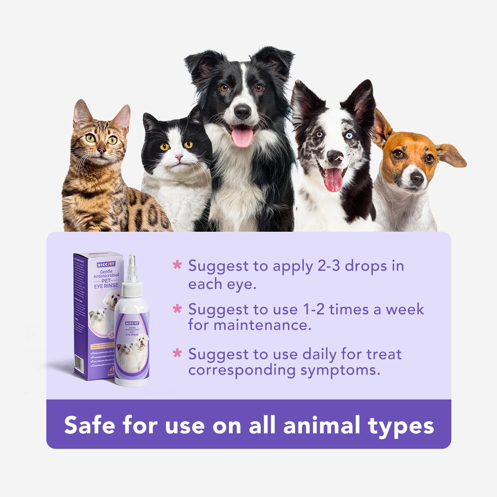 Limpieza ocular diaria en casa con HICC PET para mascotas activas.