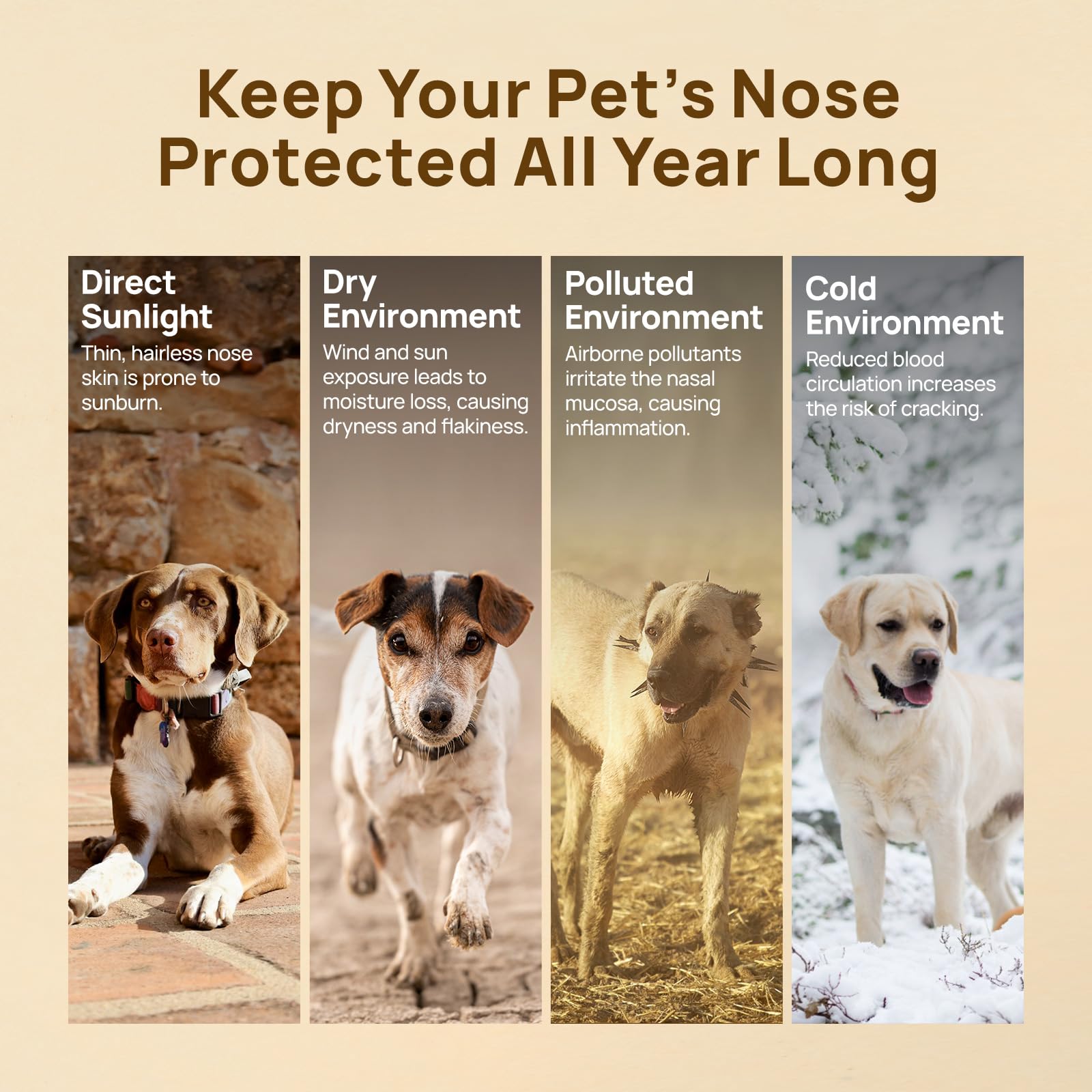 Bálsamo nasal HICC PET uso diario para perros y gatos.